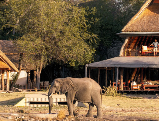 The Hide