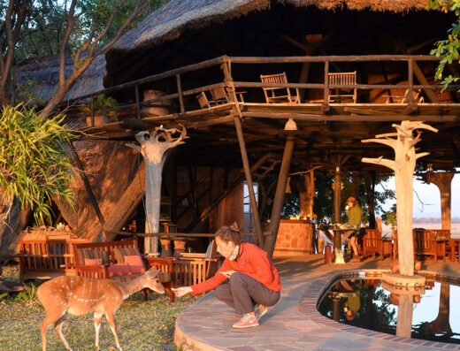 Musango Safari Camp