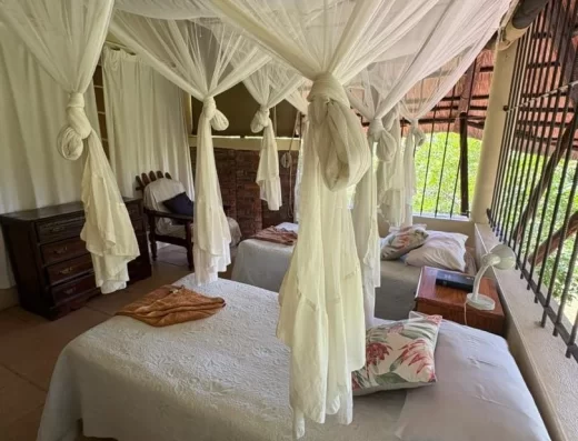 21B Wild Heritage (Hornbills Haunt)